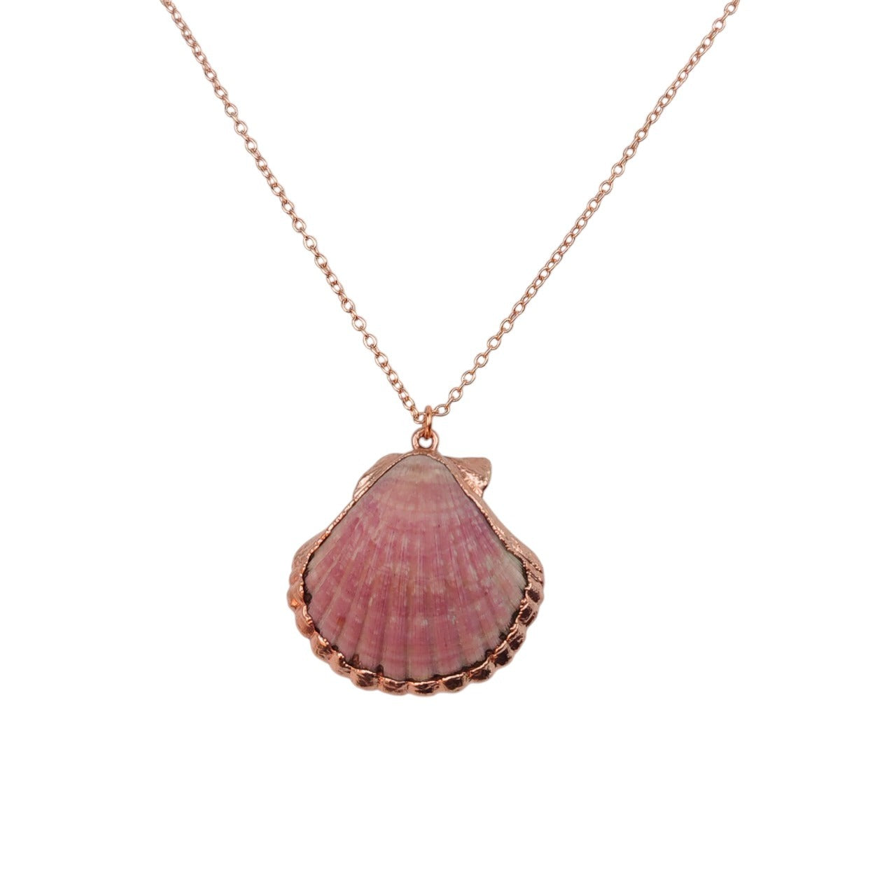 Scallop Shell Pendant