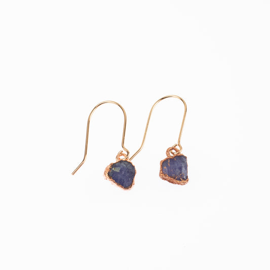 Small Tanzanite Short Dangly Earrings