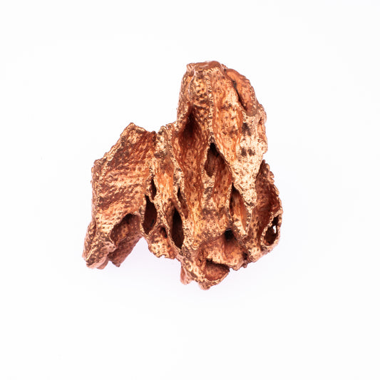 Statement Sea Lace Ring