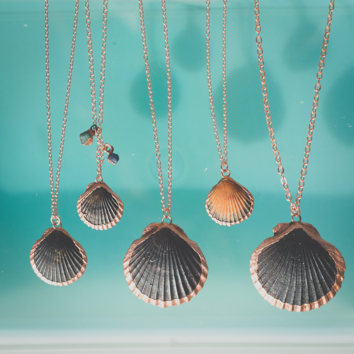 Scallop Shell Charms