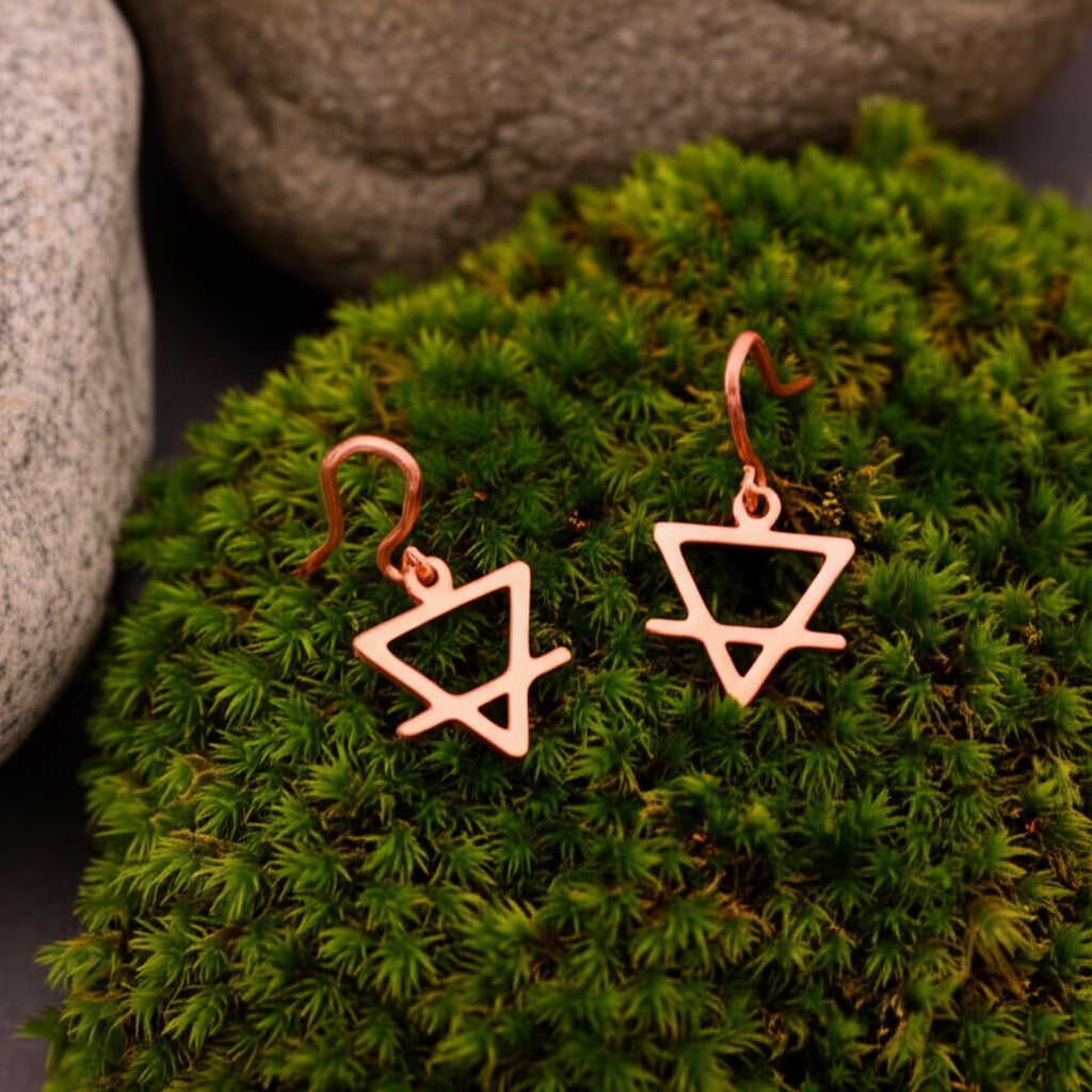 Small Earth Earrings