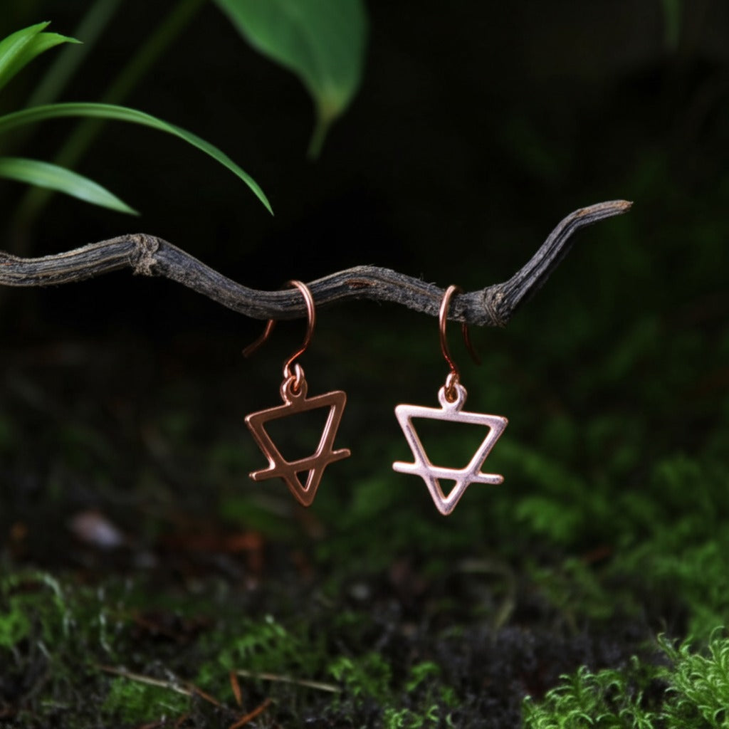 Small Earth Earrings