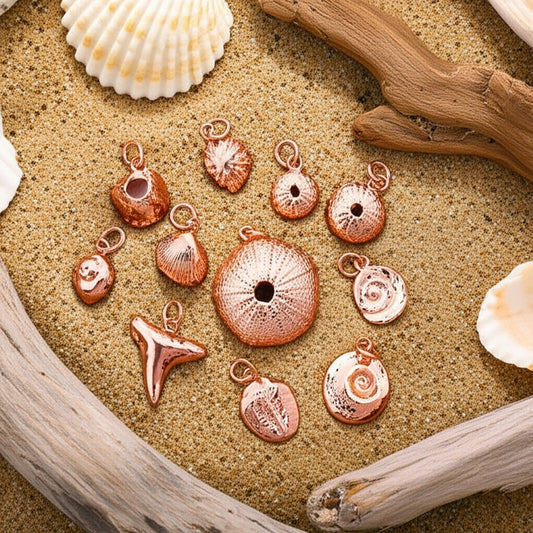 Ocean Charm