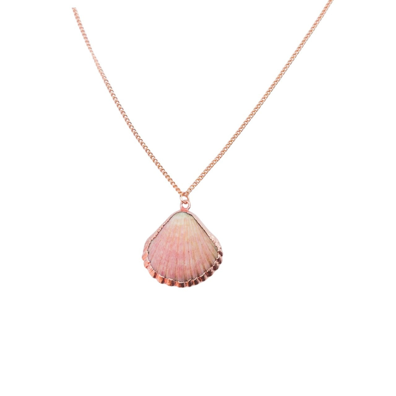 Scallop Shell Pendant