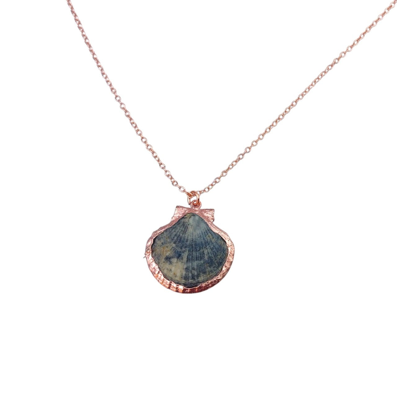 Scallop Shell Pendant