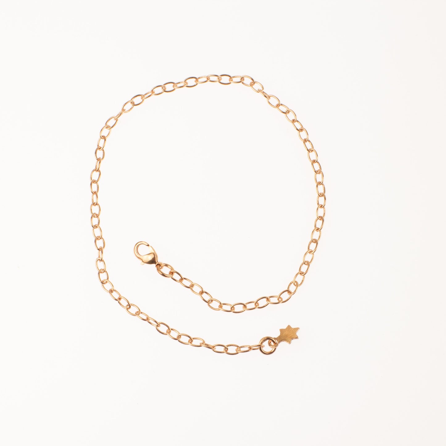 Charm Anklet