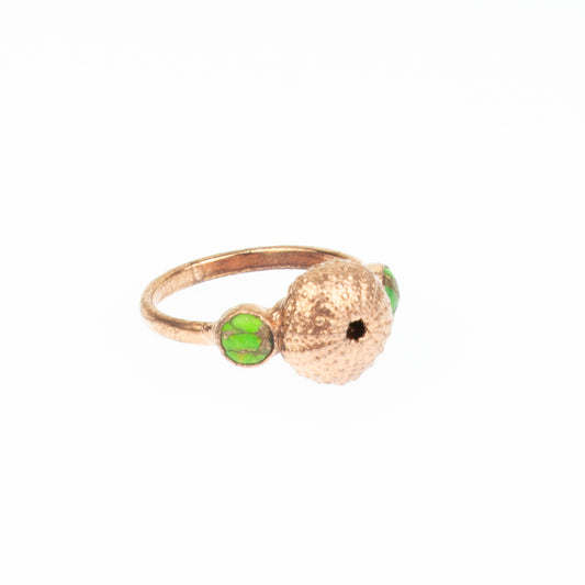 Sea Urchin Green Turquoise Trilogy Ring