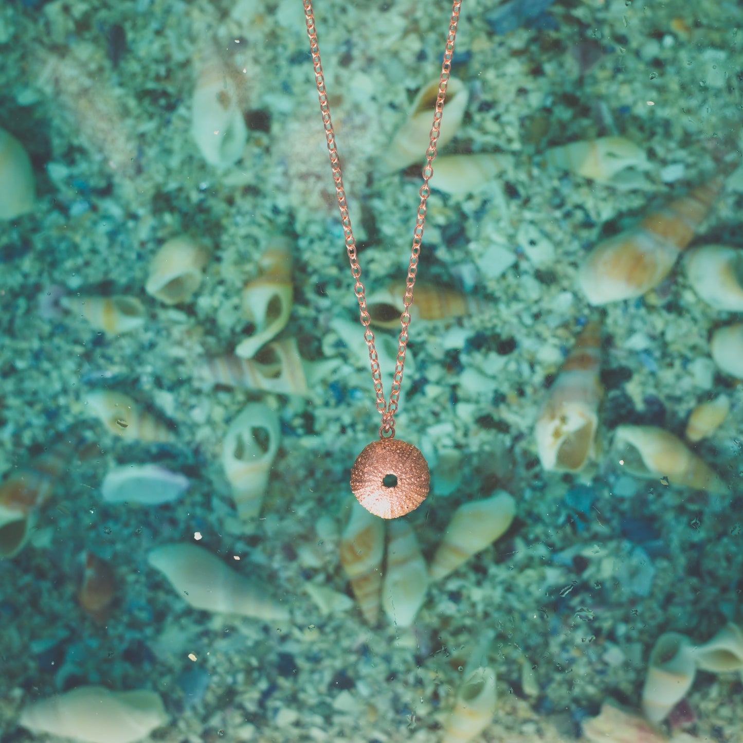 Small Aquamarine and Sea Urchin Necklace Combo